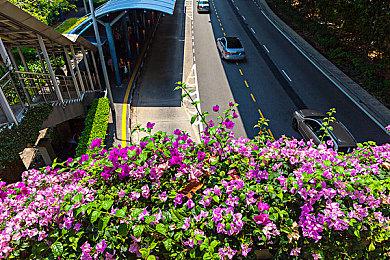 效果惊悚 《漫威蜘蛛侠2》3D广告牌现身美国街头